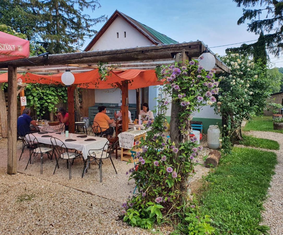 Koppany Pines Rewild Escapes - Hungarian Village House Koppanyszanto Buitenkant foto